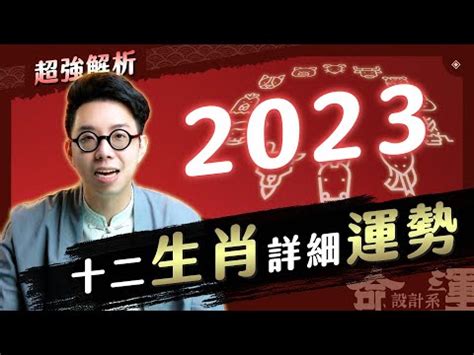 2023雞犯太歲|2023「十二生肖財運、犯太歲、運勢」！屬兔犯太歲。